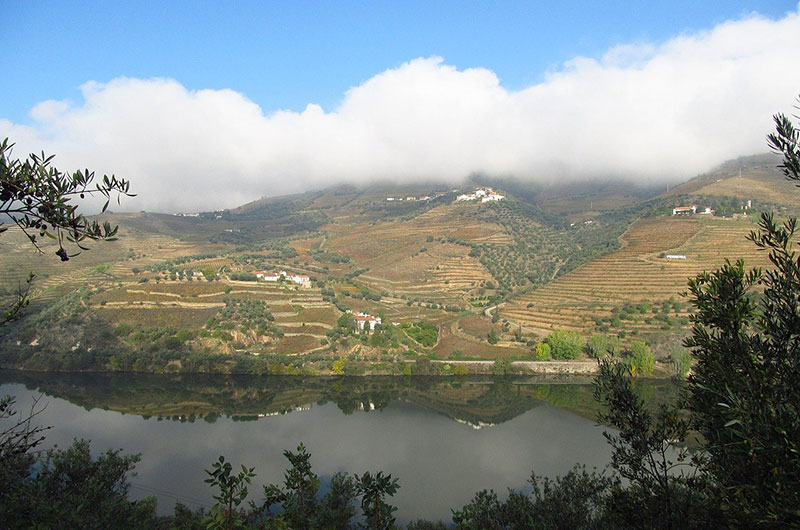 Douro-Valley